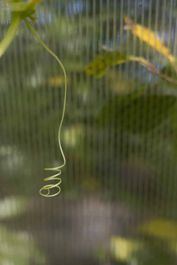 How to design real estate projects that cater to the evolving needs of the millennial and Gen Z populations?