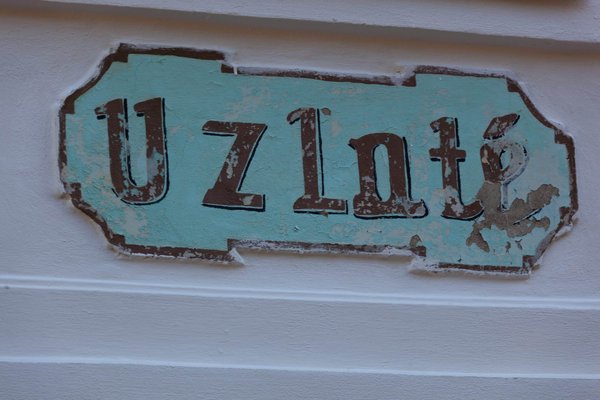 What Are the Best Strategies for Traveling with a Large Dog?